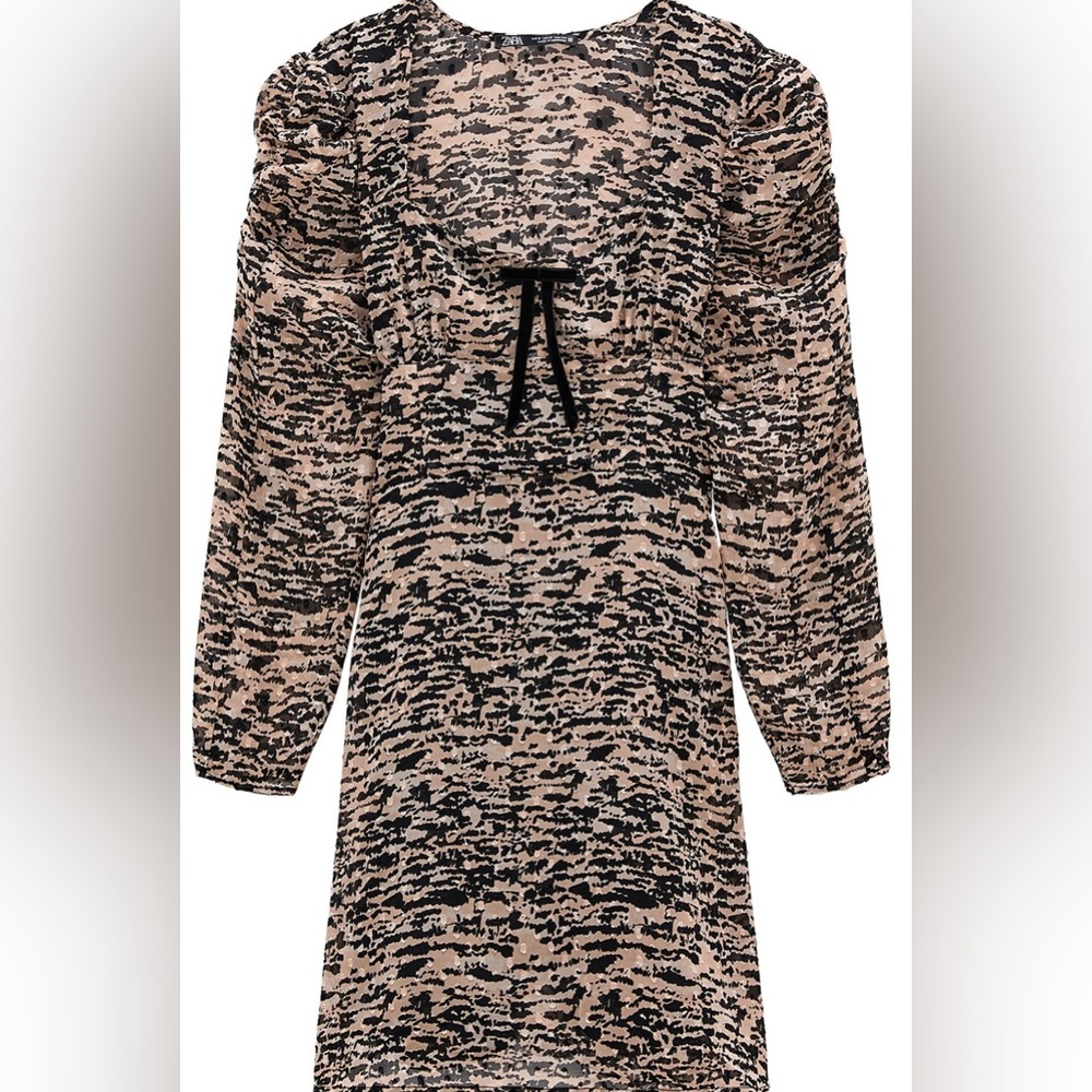 Zara Printed Dress